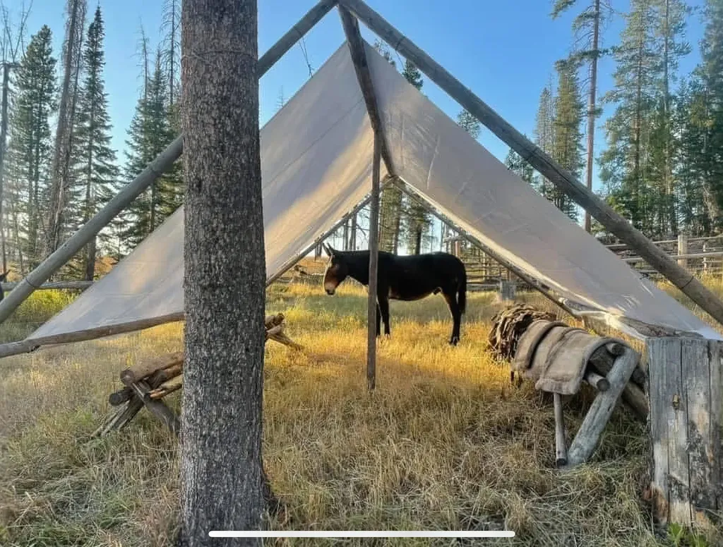 8571 Sun Canyon Lodge Road Augusta MT 59410