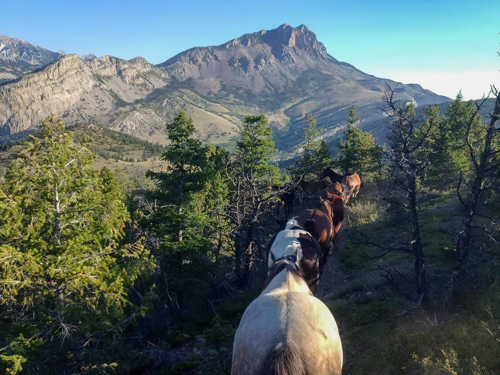 8571 Sun Canyon Lodge Road Augusta MT 59410
