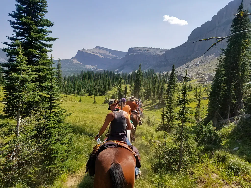 8571 Sun Canyon Lodge Road Augusta MT 59410