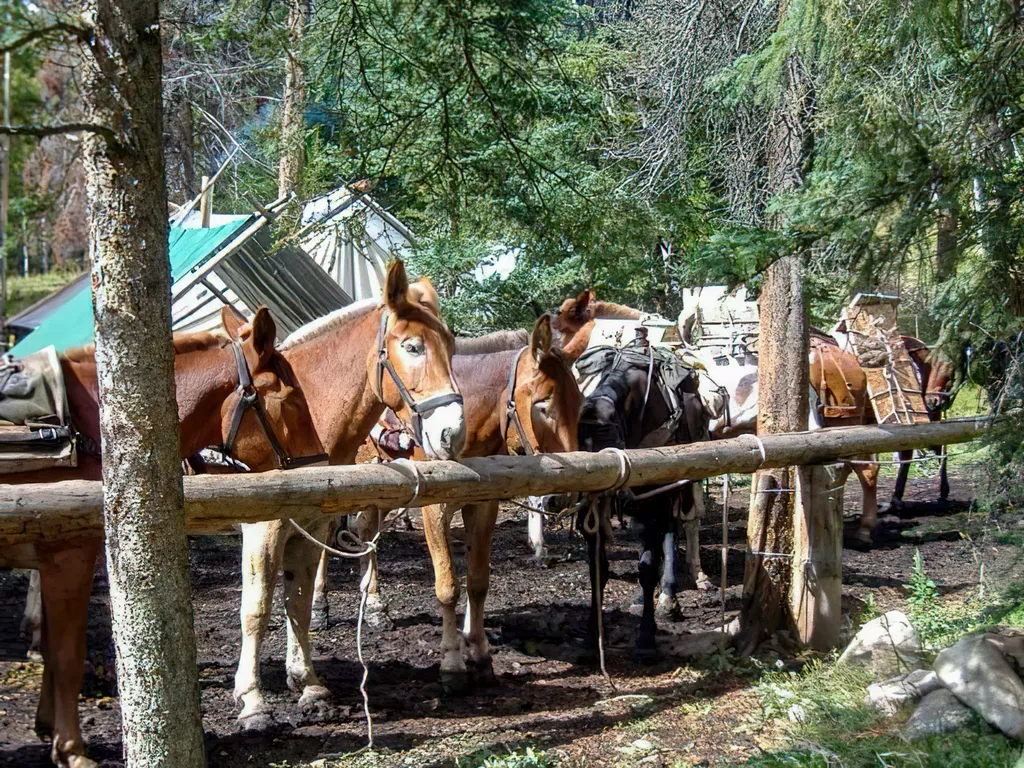 8571 Sun Canyon Lodge Road Augusta MT 59410