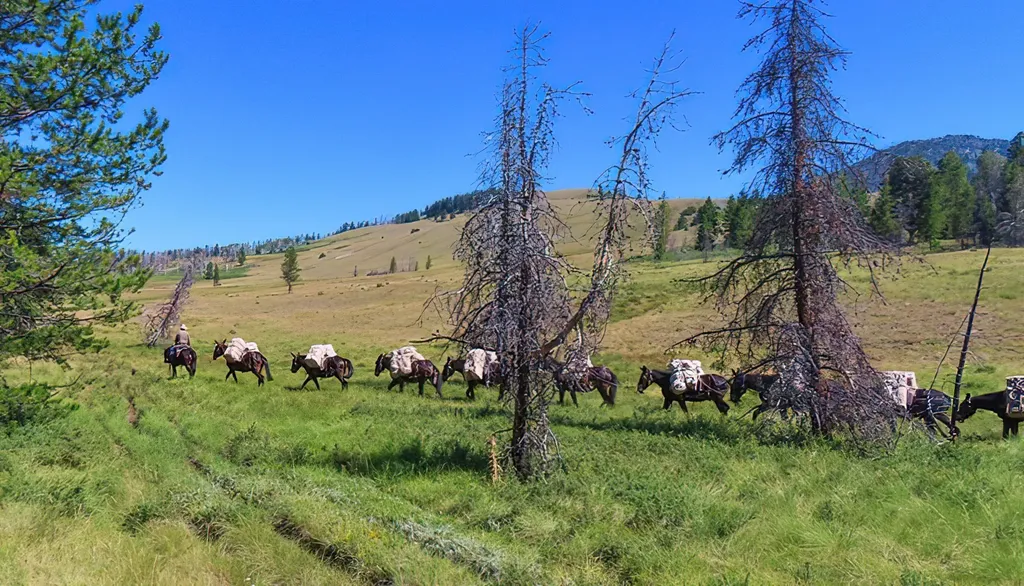 8571 Sun Canyon Lodge Road Augusta MT 59410