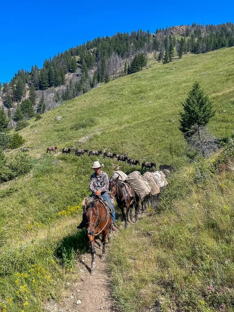 8571 Sun Canyon Lodge Road Augusta MT 59410