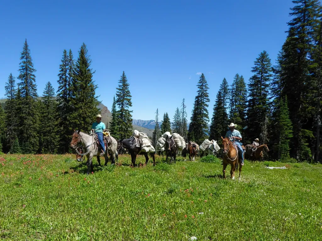 8571 Sun Canyon Lodge Road Augusta MT 59410