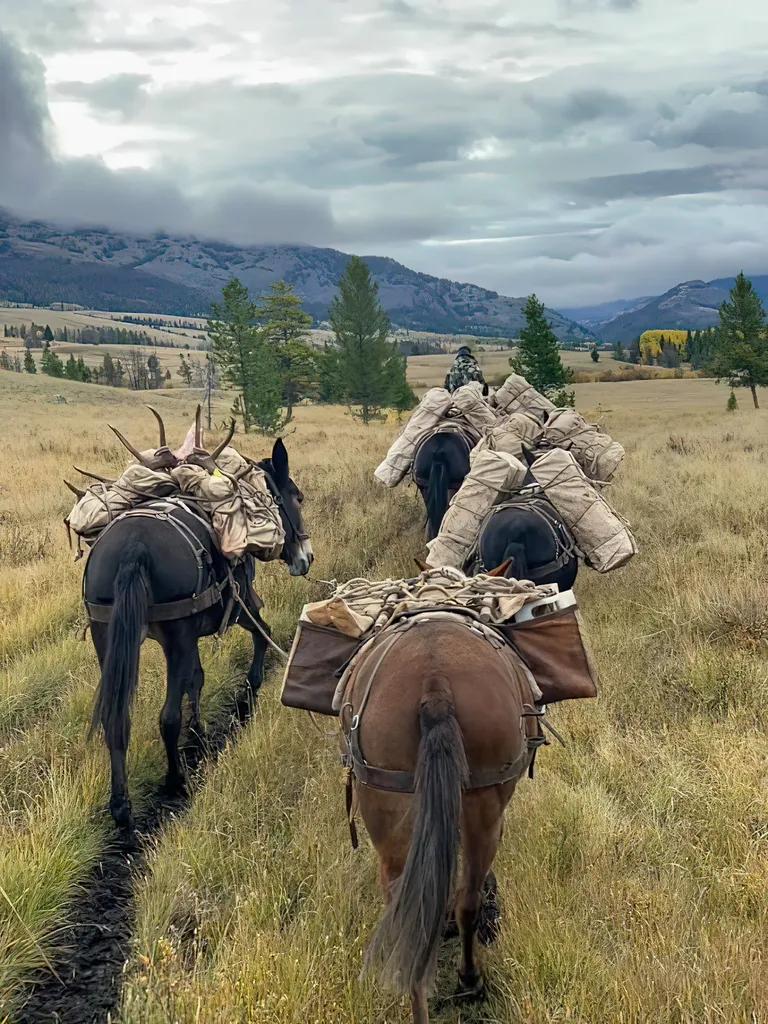 8571 Sun Canyon Lodge Road Augusta MT 59410