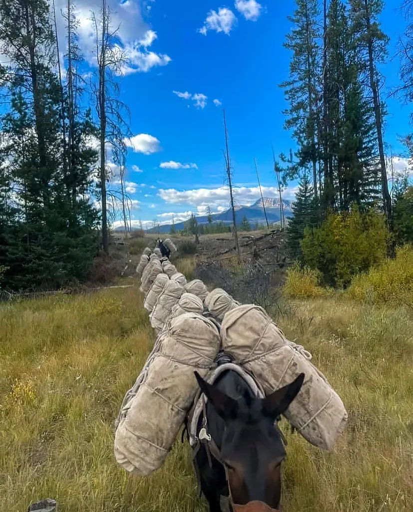 8571 Sun Canyon Lodge Road Augusta MT 59410
