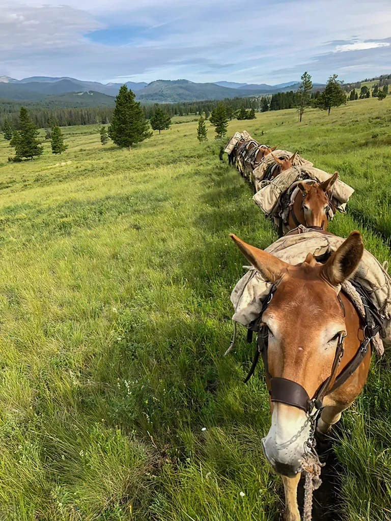 8571 Sun Canyon Lodge Road Augusta MT 59410