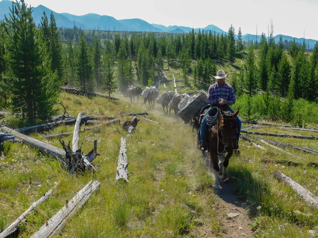 8571 Sun Canyon Lodge Road Augusta MT 59410