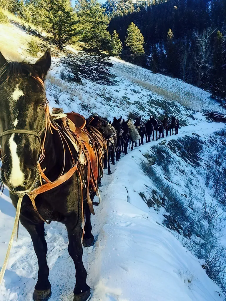 8571 Sun Canyon Lodge Road Augusta MT 59410