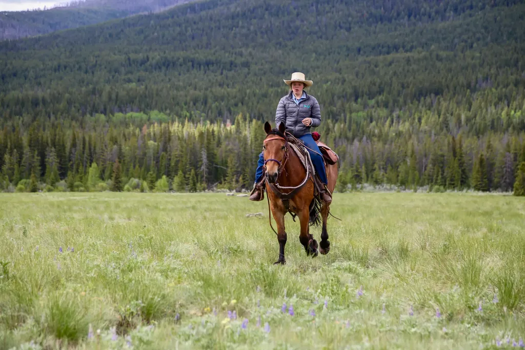8571 Sun Canyon Lodge Road Augusta MT 59410