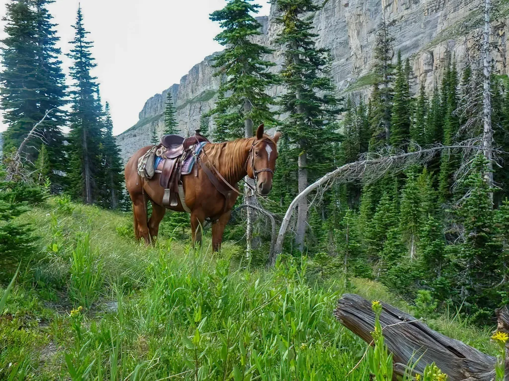 8571 Sun Canyon Lodge Road Augusta MT 59410