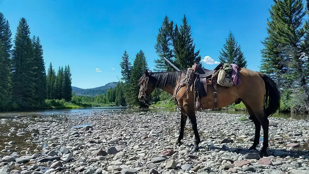 8571 Sun Canyon Lodge Road Augusta MT 59410