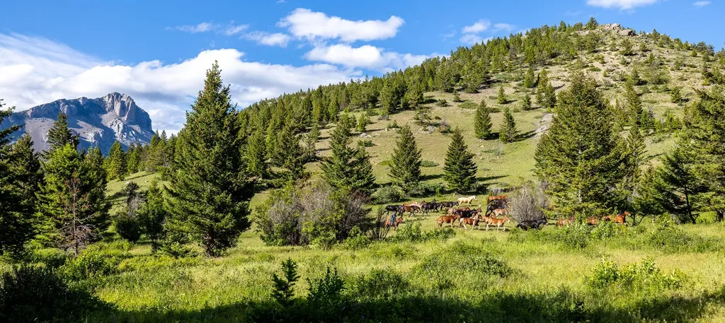 8571 Sun Canyon Lodge Road Augusta MT 59410