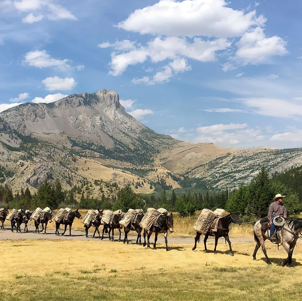8571 Sun Canyon Lodge Road Augusta MT 59410