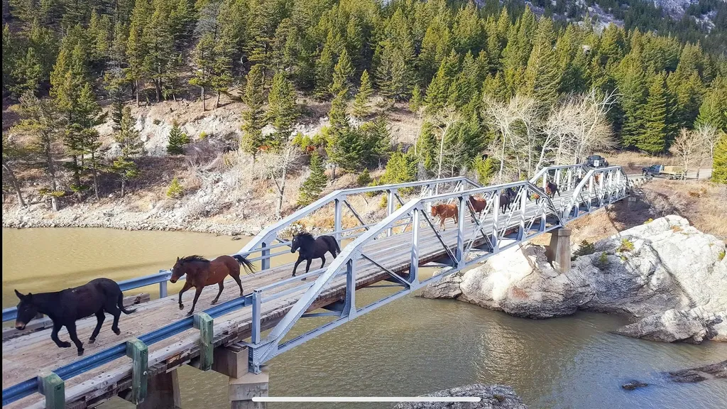 8571 Sun Canyon Lodge Road Augusta MT 59410