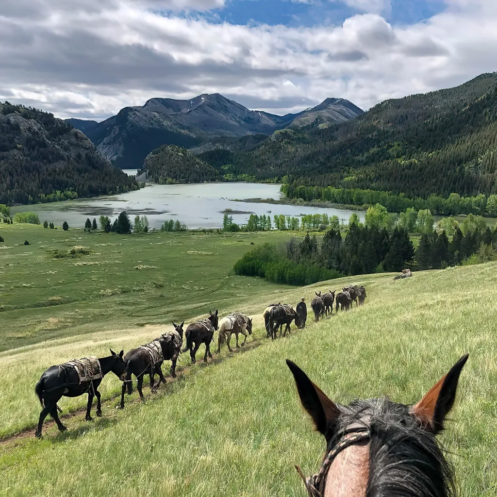 8571 Sun Canyon Lodge Road Augusta MT 59410