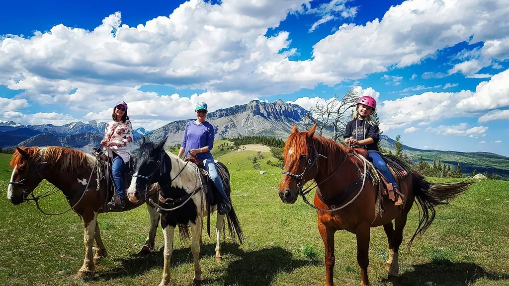 8571 Sun Canyon Lodge Road Augusta MT 59410