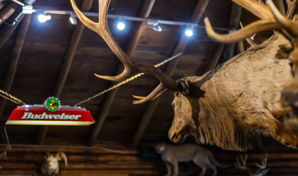 8571 Sun Canyon Lodge Road Augusta MT 59410
