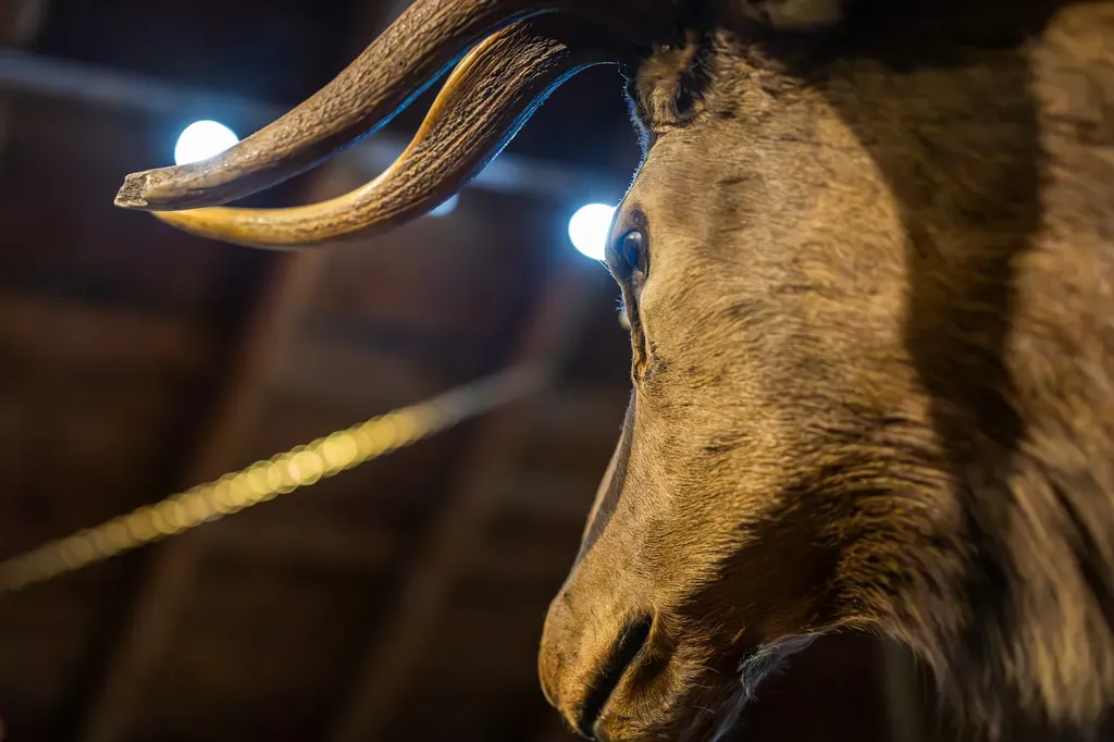 8571 Sun Canyon Lodge Road Augusta MT 59410