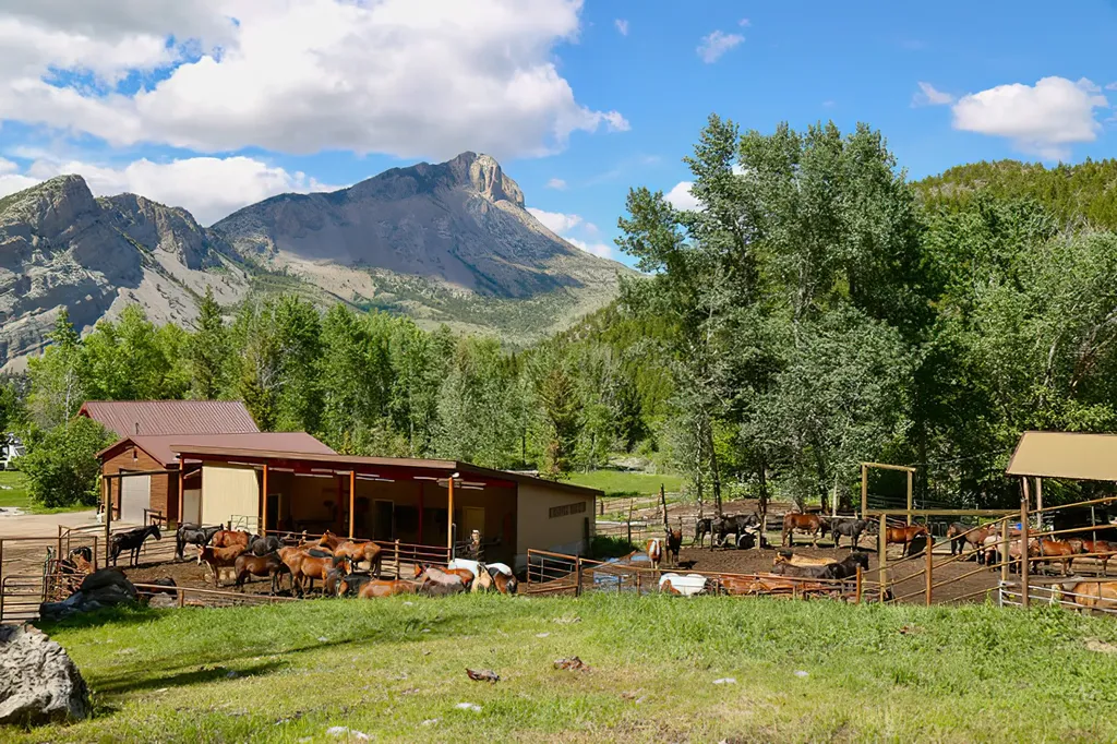 8571 Sun Canyon Lodge Road Augusta MT 59410