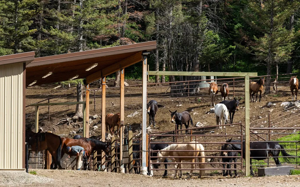 8571 Sun Canyon Lodge Road Augusta MT 59410