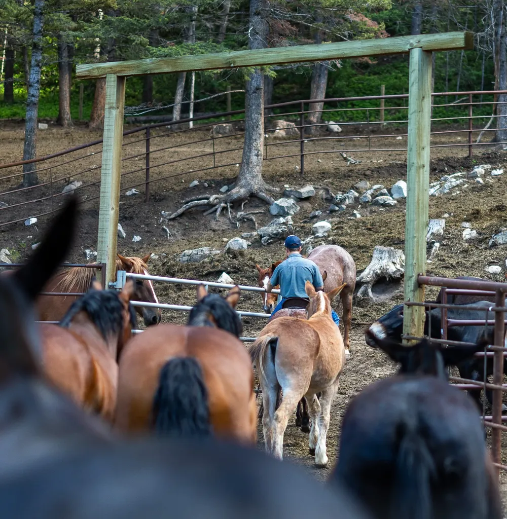 8571 Sun Canyon Lodge Road Augusta MT 59410