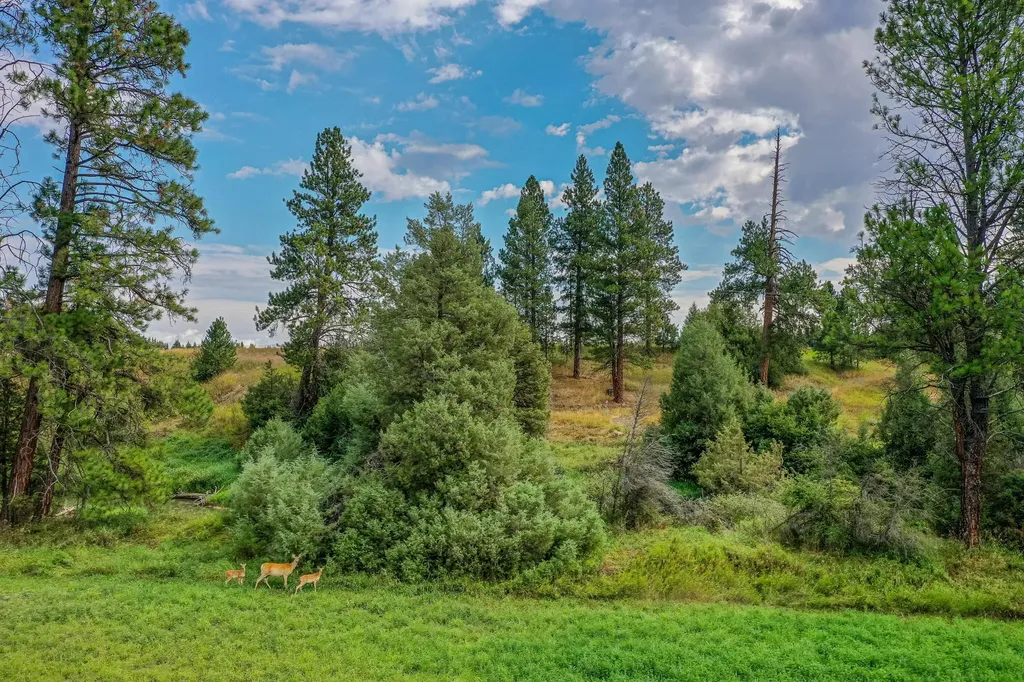 480 Church Drive Kalispell MT 59901