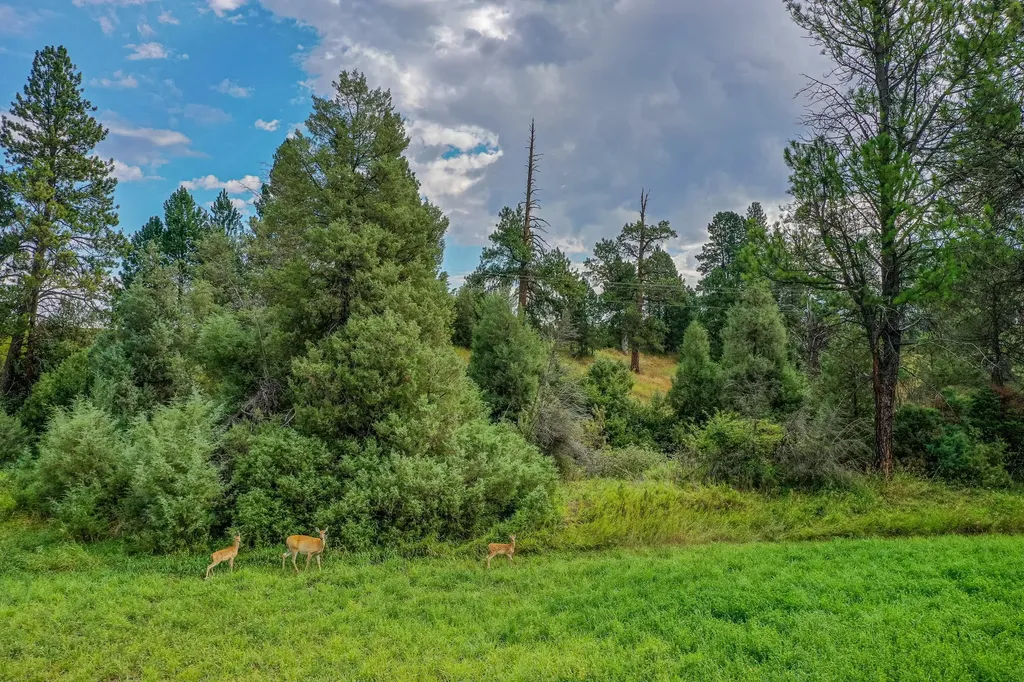 480 Church Drive Kalispell MT 59901