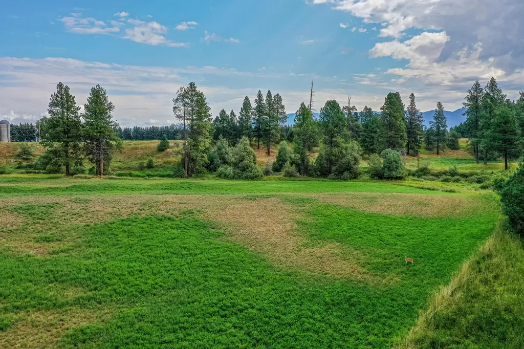 480 Church Drive Kalispell MT 59901