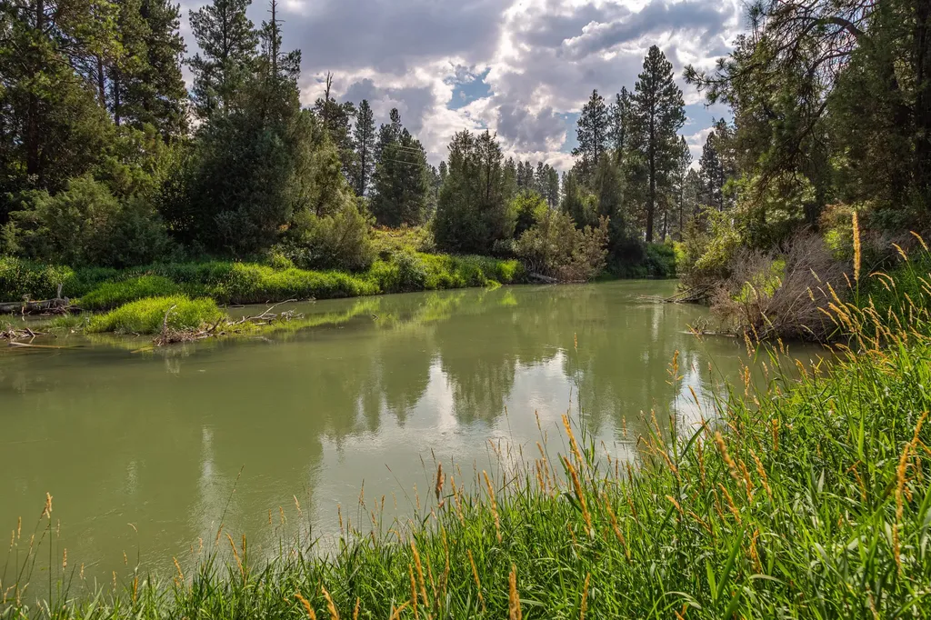 480 Church Drive Kalispell MT 59901