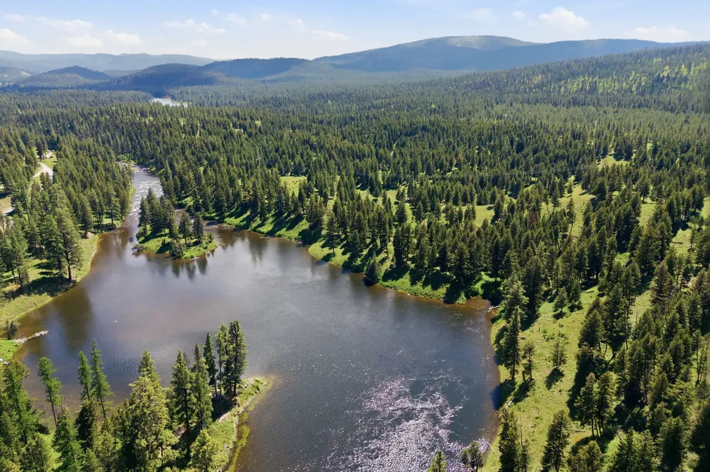 Lot 3 Big Waters Ranch Road Seeley Lake MT 59868