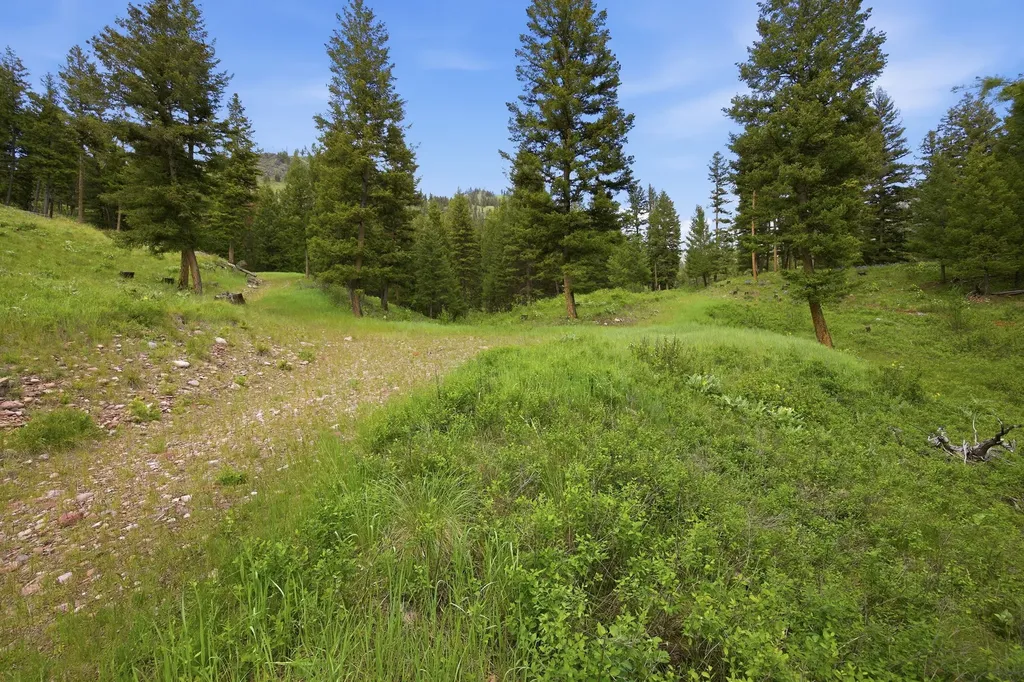 Lot 3 Big Waters Ranch Road Seeley Lake MT 59868