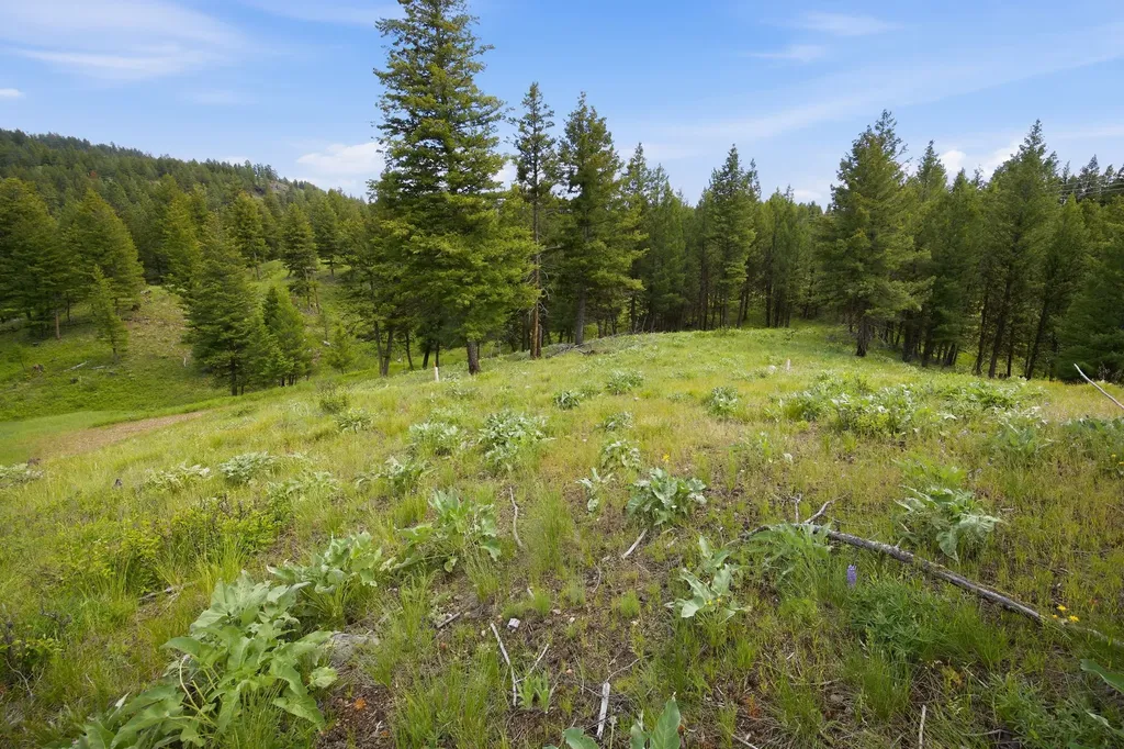 Lot 3 Big Waters Ranch Road Seeley Lake MT 59868