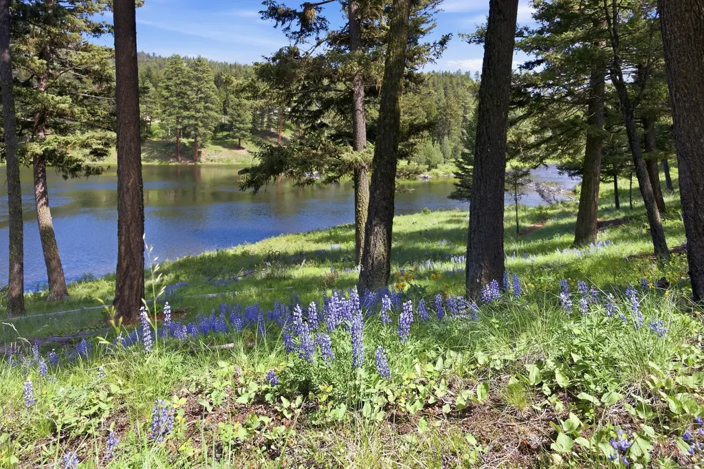 Lot 3 Big Waters Ranch Road Seeley Lake MT 59868