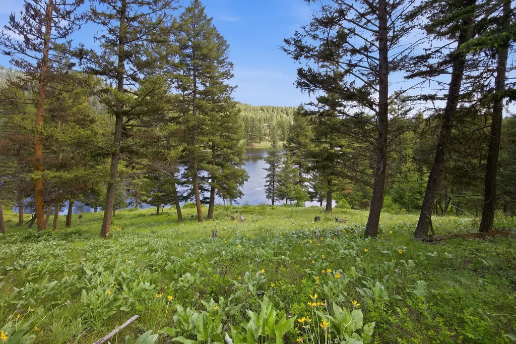 Lot 3 Big Waters Ranch Road Seeley Lake MT 59868