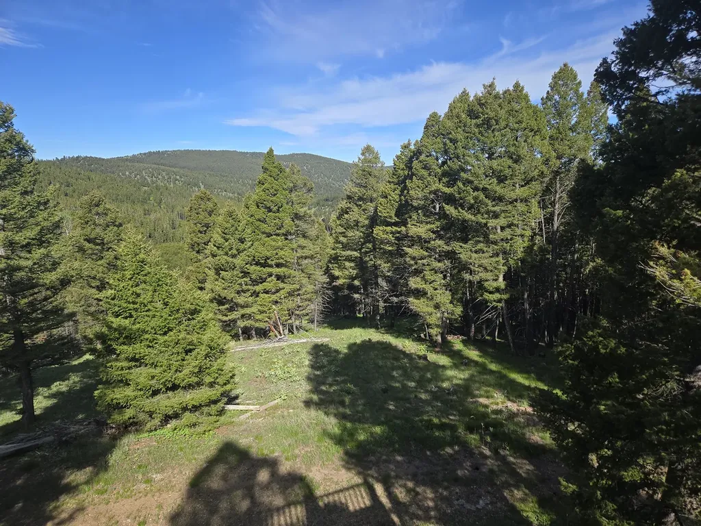 13689 Hoover Creek Road Helmville MT 59843
