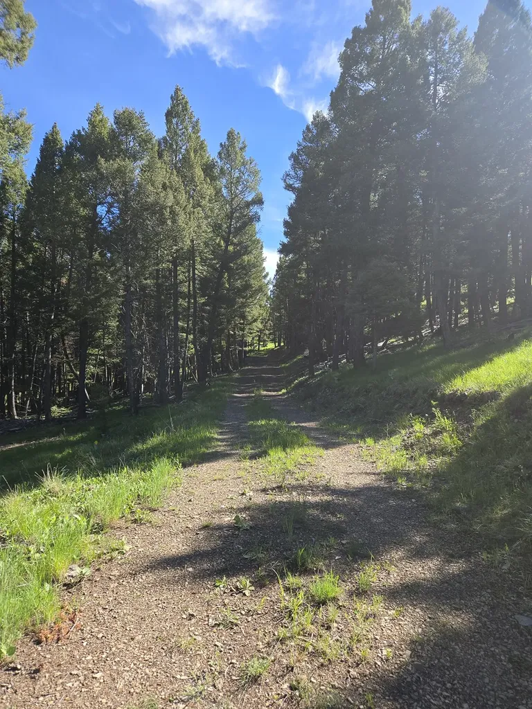 13689 Hoover Creek Road Helmville MT 59843