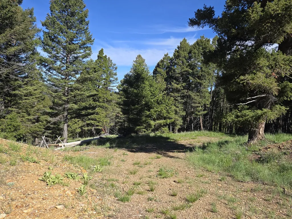 13689 Hoover Creek Road Helmville MT 59843