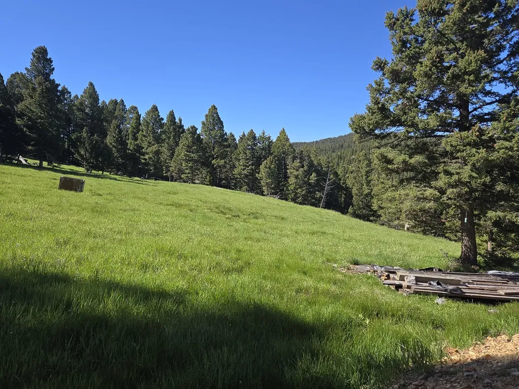 13689 Hoover Creek Road Helmville MT 59843