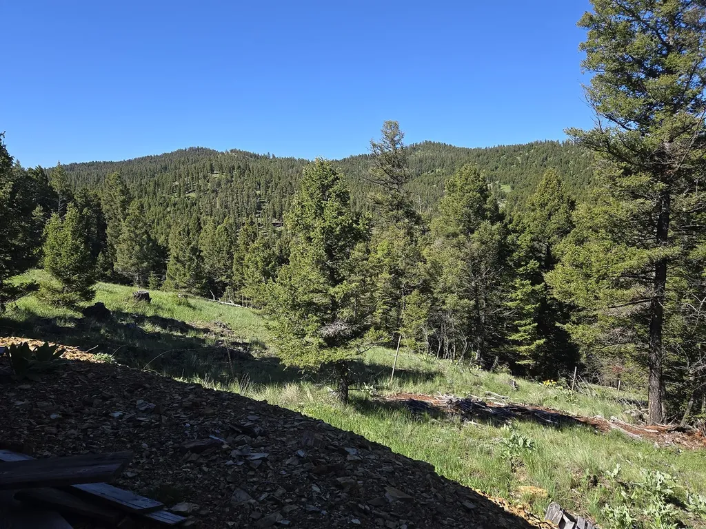 13689 Hoover Creek Road Helmville MT 59843
