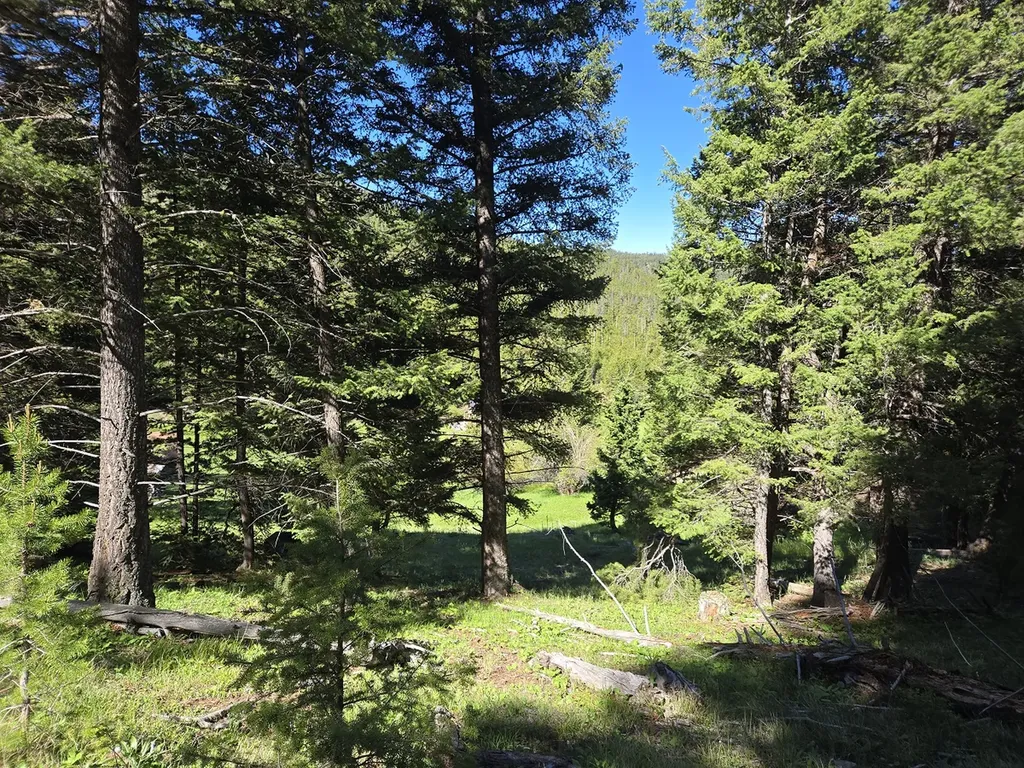 13689 Hoover Creek Road Helmville MT 59843