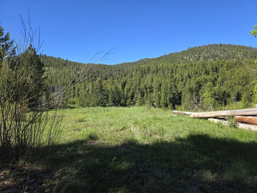 13689 Hoover Creek Road Helmville MT 59843