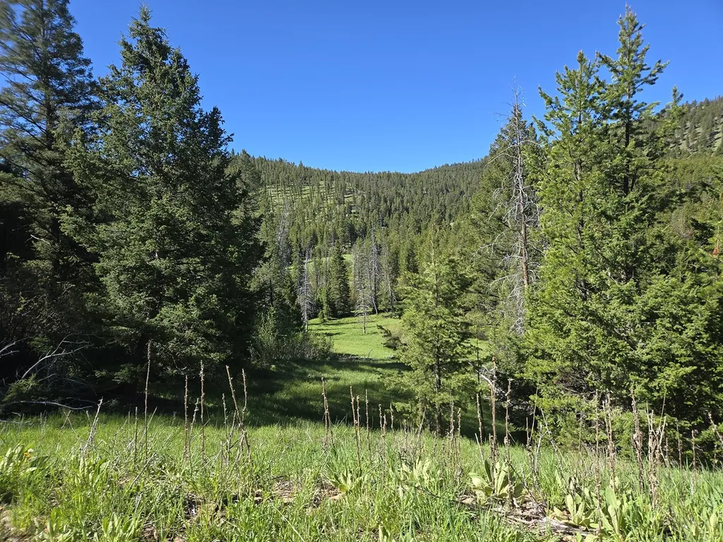 13689 Hoover Creek Road Helmville MT 59843