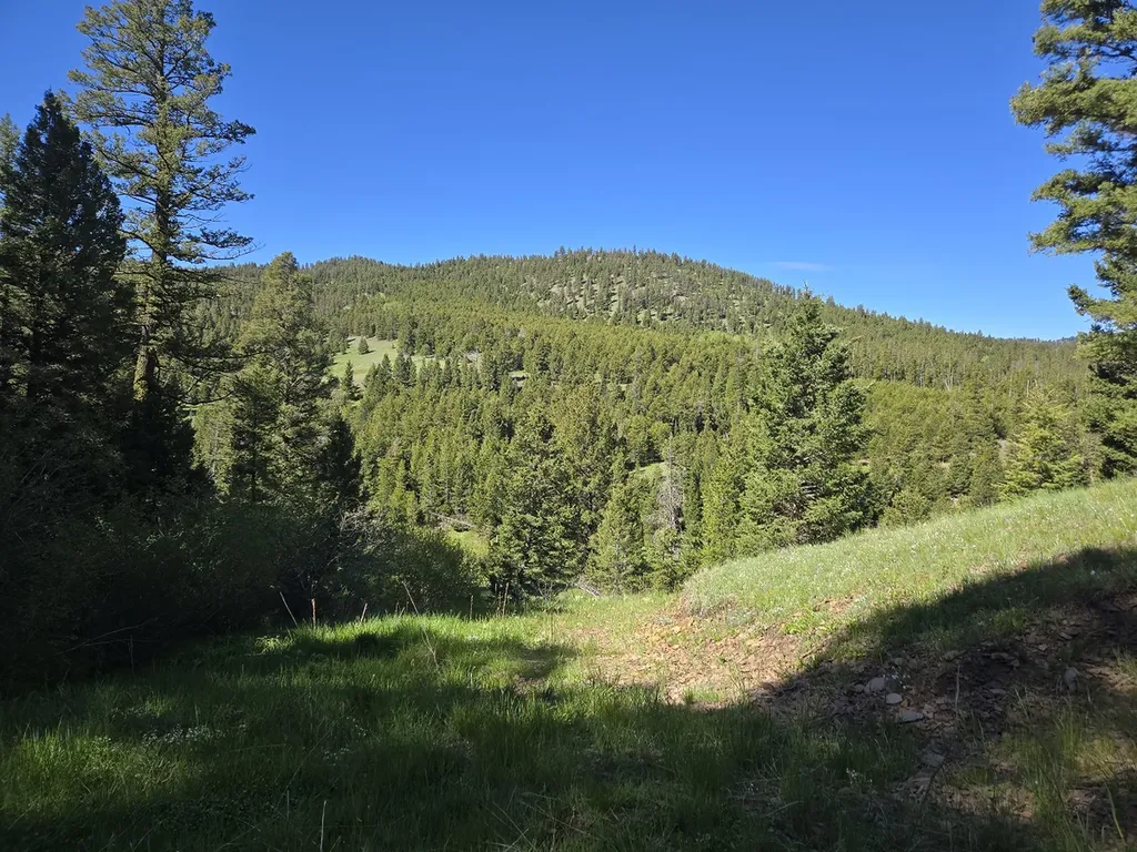 13689 Hoover Creek Road Helmville MT 59843