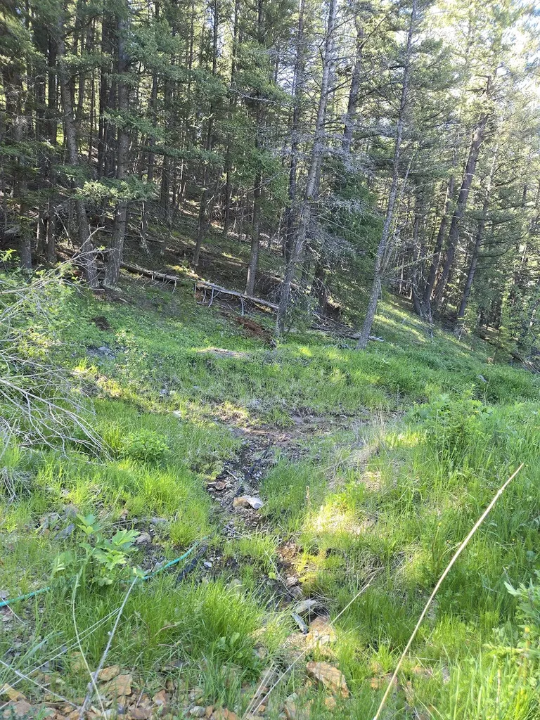 13689 Hoover Creek Road Helmville MT 59843
