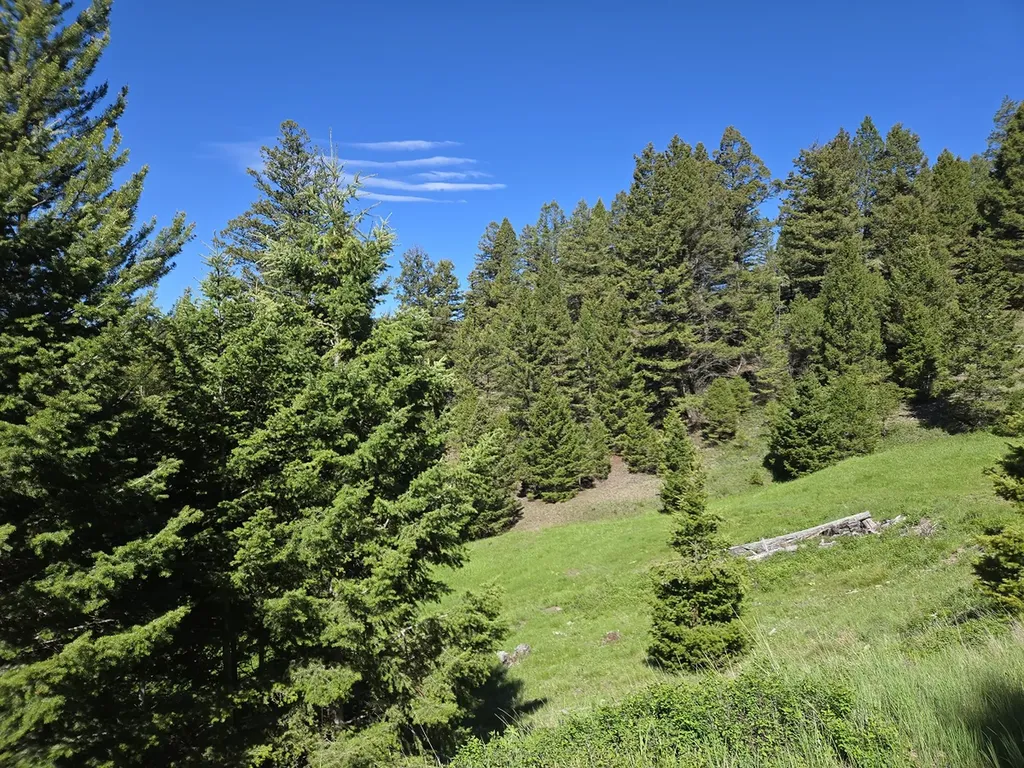 13689 Hoover Creek Road Helmville MT 59843