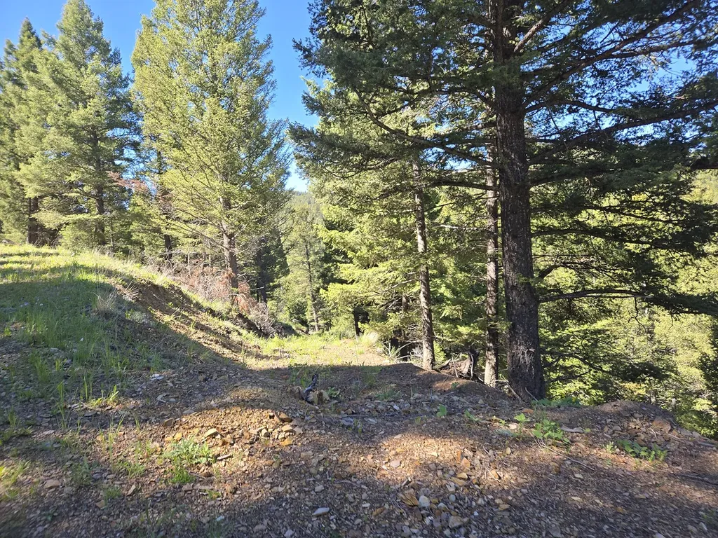 13689 Hoover Creek Road Helmville MT 59843