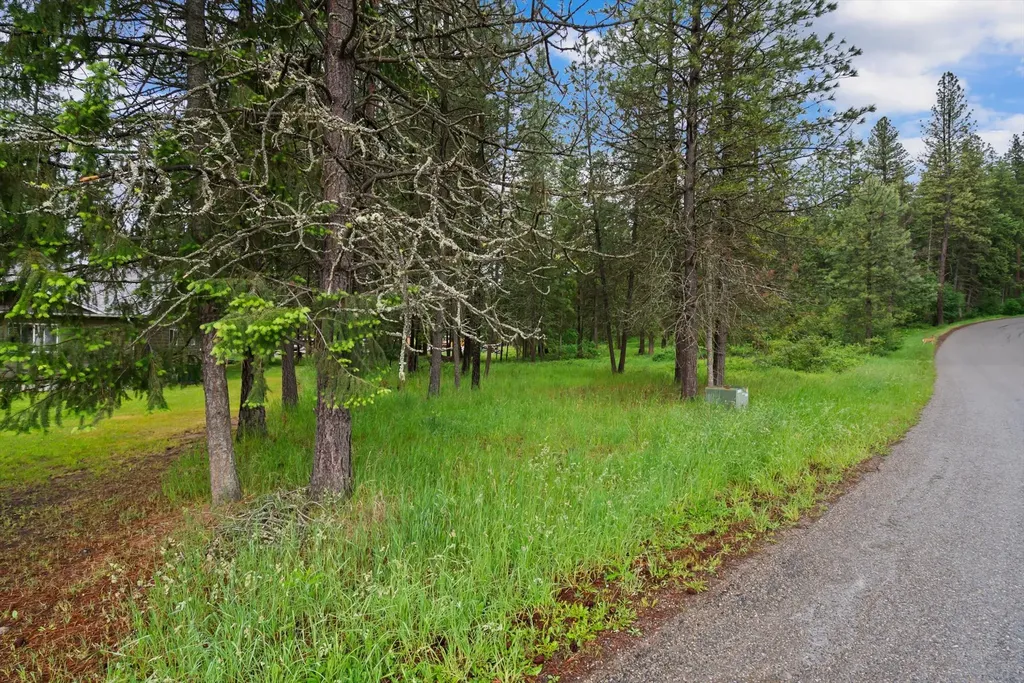 81 Shalom Drive Libby MT 59923