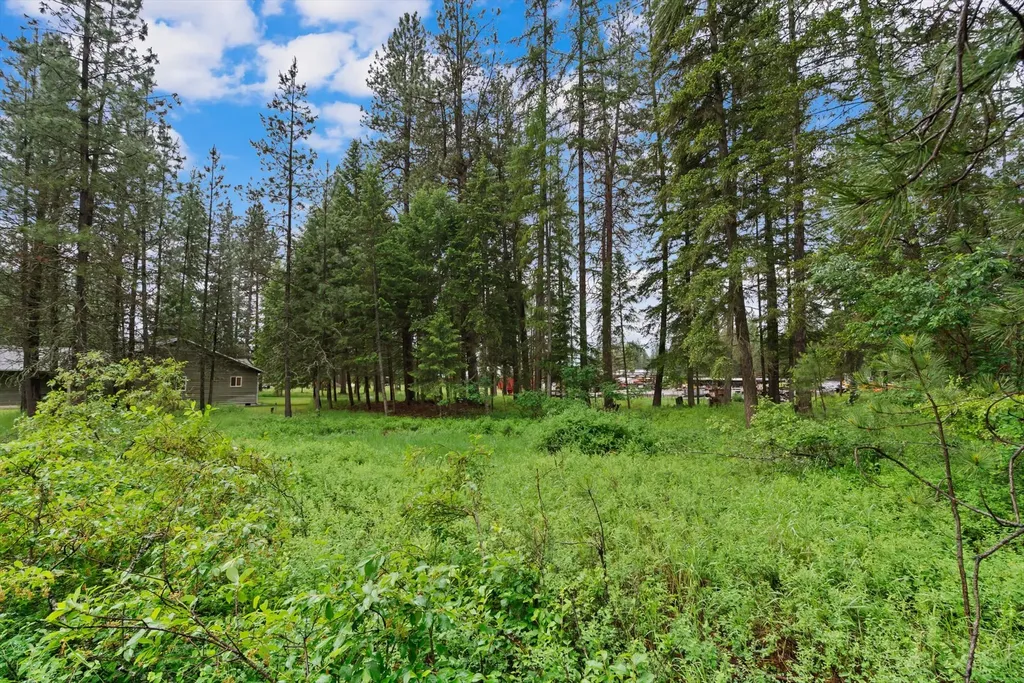 81 Shalom Drive Libby MT 59923