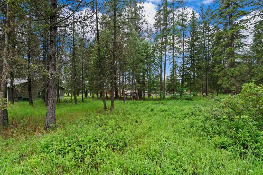 81 Shalom Drive Libby MT 59923