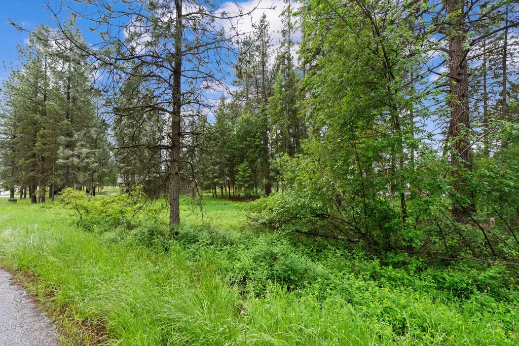 81 Shalom Drive Libby MT 59923